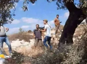 مستعمرون يهاجمون قاطفي الزيتون في عقربا جنوب نابلس مستعمرون يهاجمون قاطفي الزيتون في عقربا جنوب نابلس